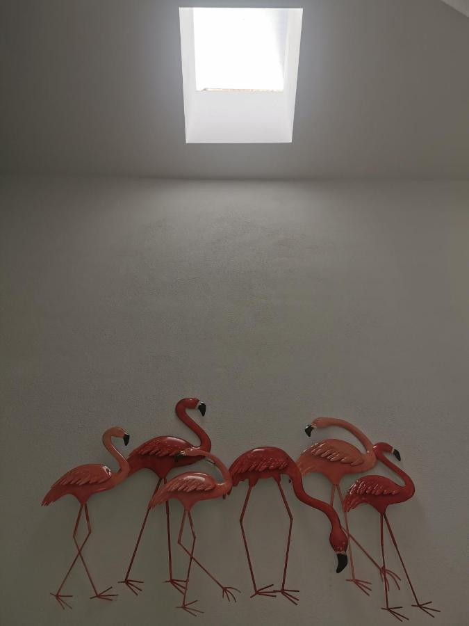Botavara Cabo De Gata 外观 照片